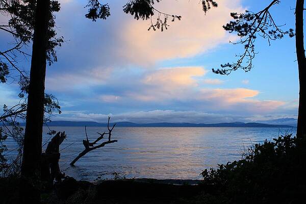 Sunrise Clouds by Gerry Bates Sunrise Clouds by Gerry Bates