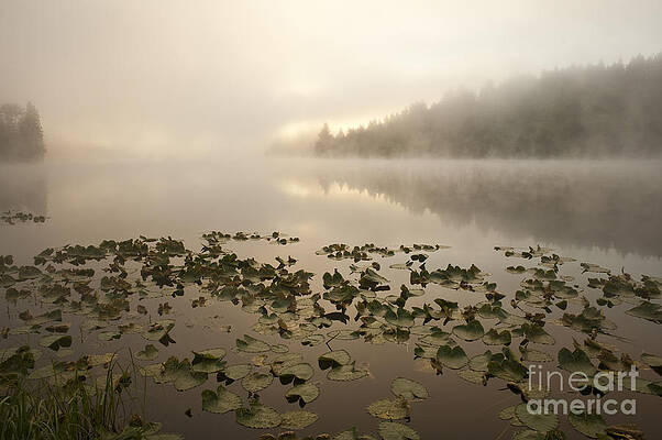 Wall Art - Photograph - Sunrise Lake With Fog, Trees And Mist by Jim Corwin