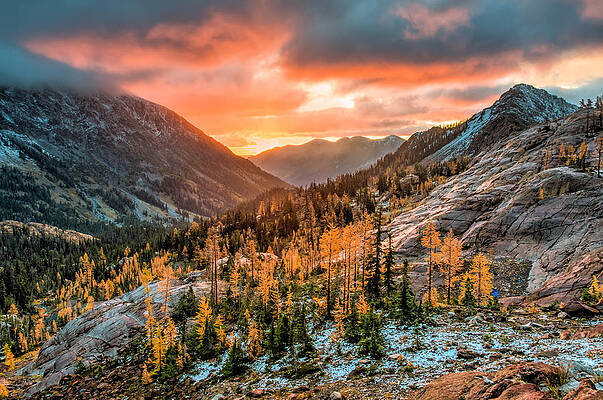 Sunrise on the Larches by Brian Bonham Sunrise on the Larches by Brian Bonham