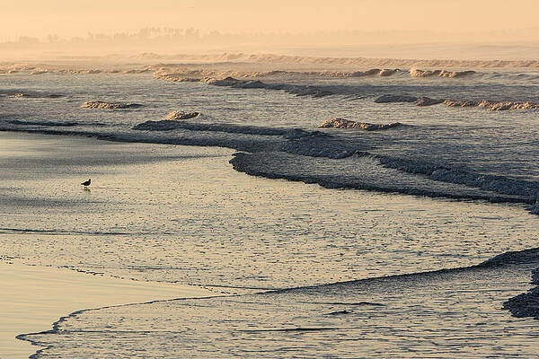 Sunrise on the Ocean by John Wadleigh Sunrise on the Ocean by John Wadleigh