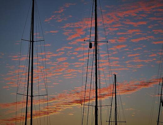 Sunrise through the Masts by Mark Mitchell Sunrise through the Masts by Mark Mitchell