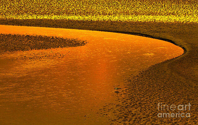 Sunset at Low Tide by Michael Trahan