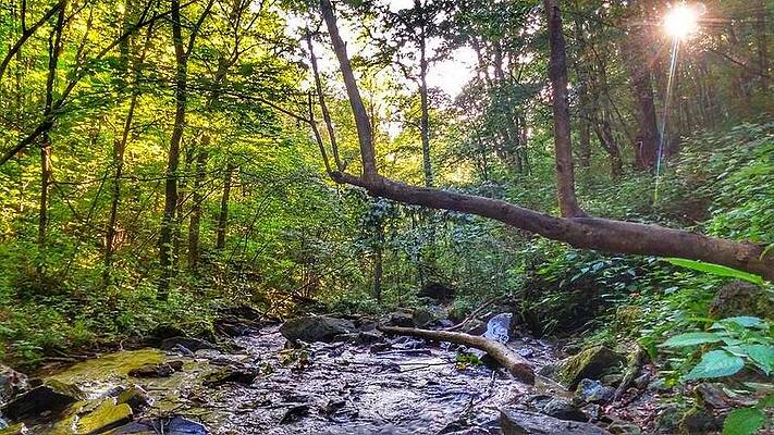 Sunset by the Creek by Joey Brower