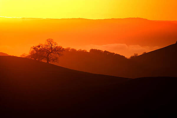 Wall Art - Photograph - Sunset From Mt. Hamilton by Lisa Chorny