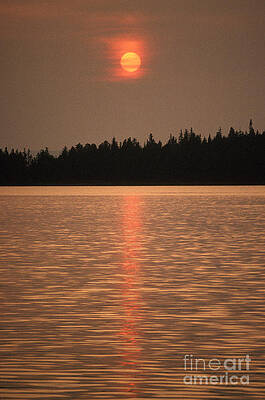 Wall Art - Photograph - Sunset In Alaska by Ron Sanford
