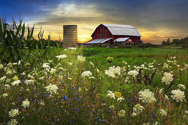 Wall Art - Photograph - Sunset Lace Pastures by Debra and Dave Vanderlaan