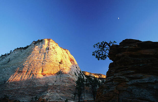 Wall Art - Photograph - Sunset On Checkerboard Sandstone Cliffs by David C Tomlinson