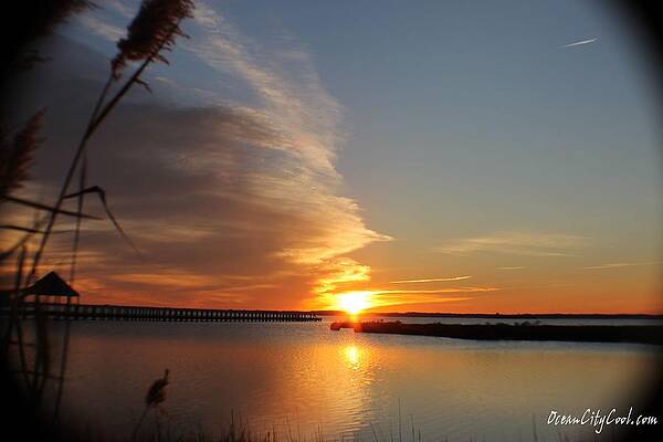Wall Art - Photograph - Sunset Over Wetlands by Robert Banach