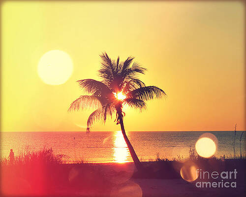 Sunset Palm II by Chris Andruskiewicz Sunset Palm II by Chris Andruskiewicz