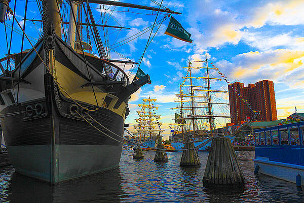 Sunset Sailabration by Sarah Donald Sunset Sailabration by Sarah Donald