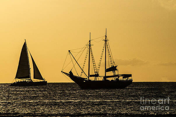 Sunset Silhouette by Judy Wolinsky