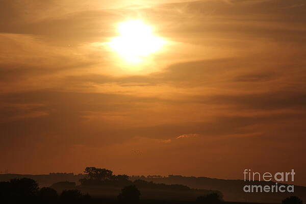 Wall Art - Photograph - Sunset with fog setting  by Yumi Johnson