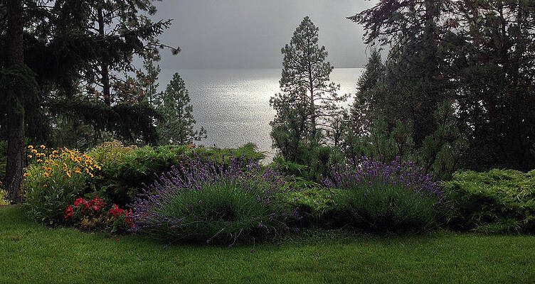 Sunshower on Lake by Kate Gibson Oswald Sunshower on Lake by Kate Gibson Oswald
