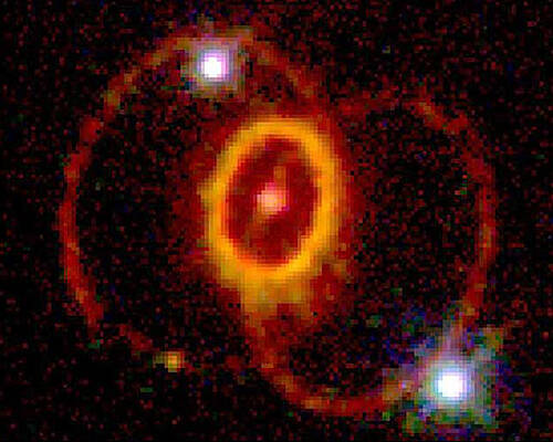 Wall Art - Photograph - Supernova 1987a by Science Source