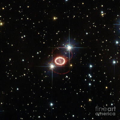 Wall Art - Photograph - Supernova Sn 1987a by Science Source