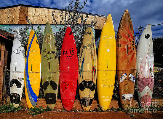 Surf Board Fence Maui Hawaii by Edward Fielding Surf Board Fence Maui Hawaii by Edward Fielding