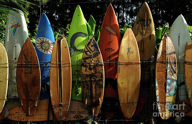 Surfboard Fence 4 by Bob Christopher Surfboard Fence 4 by Bob Christopher