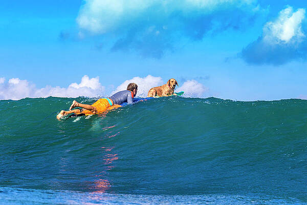 Wall Art - Photograph - Surfer With A Dog On The Surfboard by Konstantin Trubavin