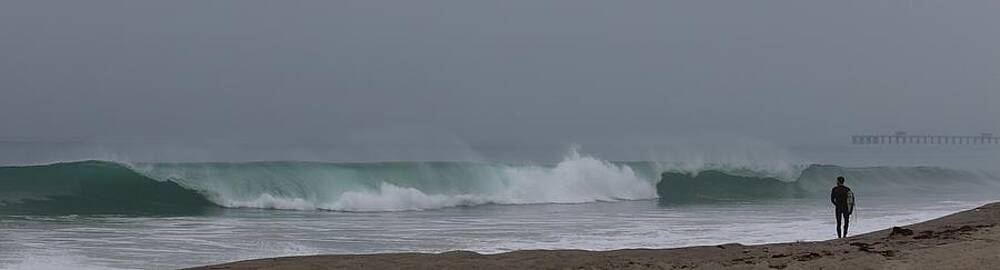 Wall Art - Photograph - Surfs Up by Christy Pooschke
