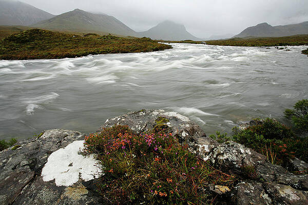 Wall Art - Photograph - Surging Water From Rain Run-off by Chris Pinchbeck
