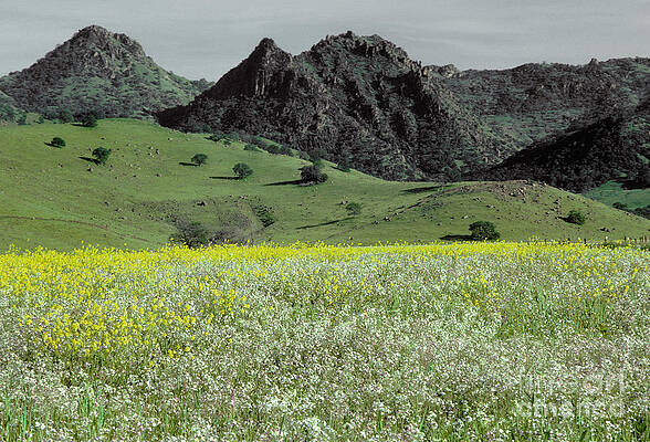Wall Art - Photograph - Sutter Buttes Mountains, California by Ron Sanford