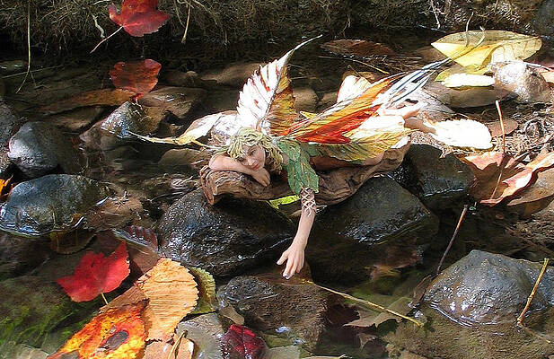 Swallow-tailed Whisp-Fairy Streamside by Tamara Stickler