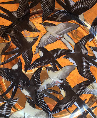 Swallows by Kate Gibson Oswald Swallows by Kate Gibson Oswald