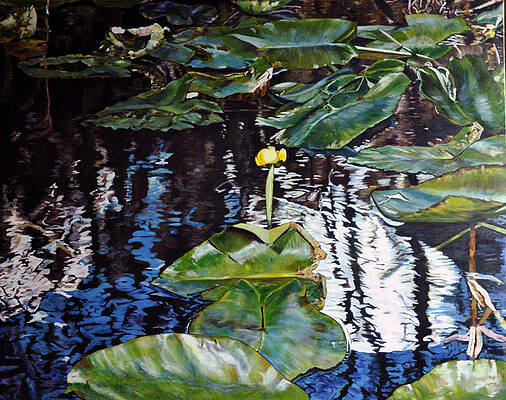 Swamp Lilly by Dottie Branch Swamp Lilly by Dottie Branch