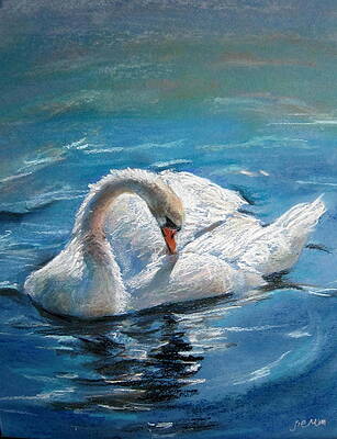 Swan by Jieming Wang