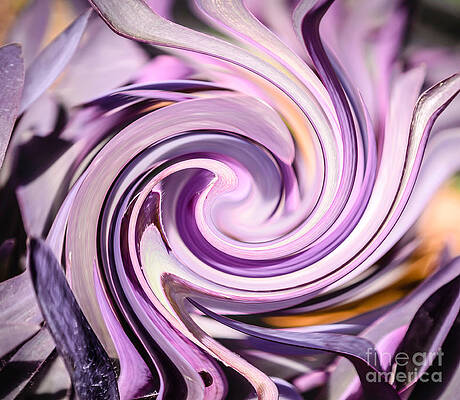 Wall Art - Photograph - Swirl in Purple by Elvis Vaughn