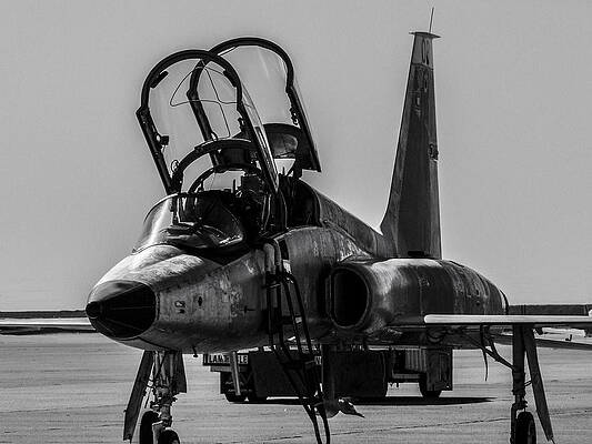 T-38 Talon Black and White by Philip Rispin T-38 Talon Black and White by Philip Rispin