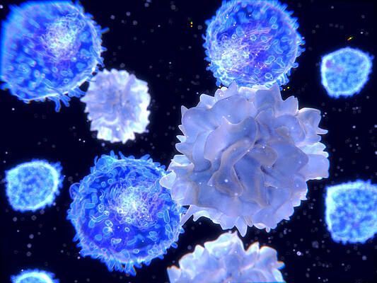 Wall Art - Photograph - T-lymphocytes Interacting Antigen by Juan Gaertner