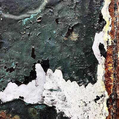 Wall Art - Photograph - Post by Jason Roust