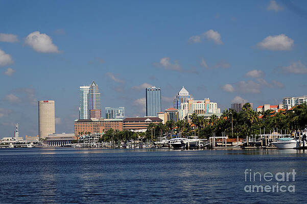 Florida Photograph - Tampa Florida From The Water by Natural Focal Point Photography