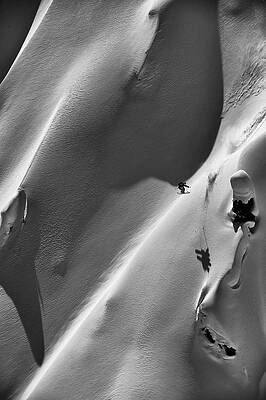 Tanner 360 by Dave Heath