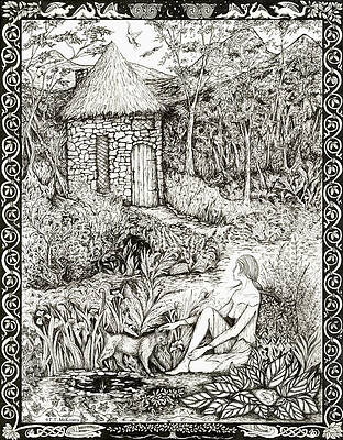 Tansel by FT McKinstry Tansel by FT McKinstry