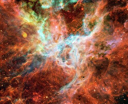 Wall Art - Photograph - Tarantula Nebula by Science Photo Library