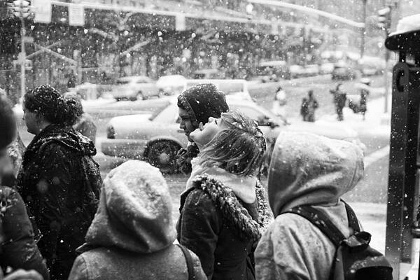 TasteOfSnow by Dave Beckerman TasteOfSnow by Dave Beckerman