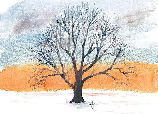 Tender Devotion Winter Tree by Christine Camp Tender Devotion Winter Tree by Christine Camp