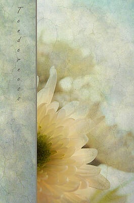 Wall Art - Photograph - Tenderness by Jenny Rainbow