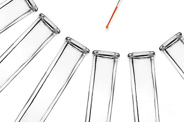 Wall Art - Photograph - Test Tubes And Pipette by Sigrid Gombert