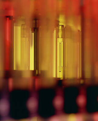 Wall Art - Photograph - Test Tubes In An Nmr Spectrometer by Science Photo Library