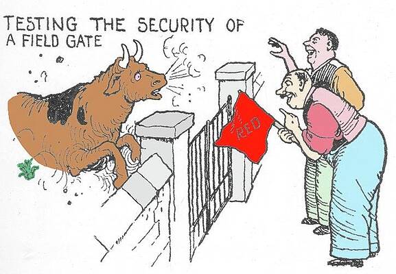 Wall Art - Photograph - Testing The Security Of A Field Gate By W. Heath Robinson B by Science Photo Library