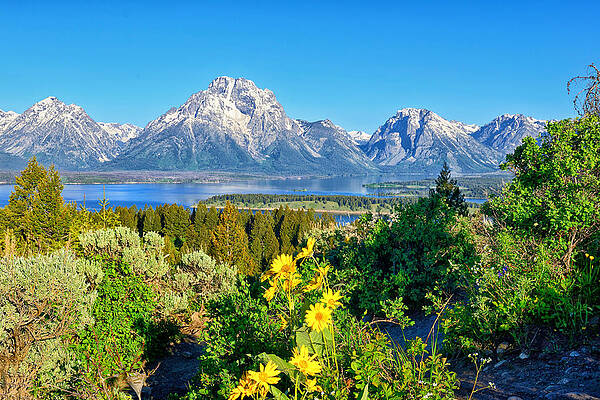 Wall Art - Photograph - Teton Spring from Signal Mtn Summit by Greg Norrell