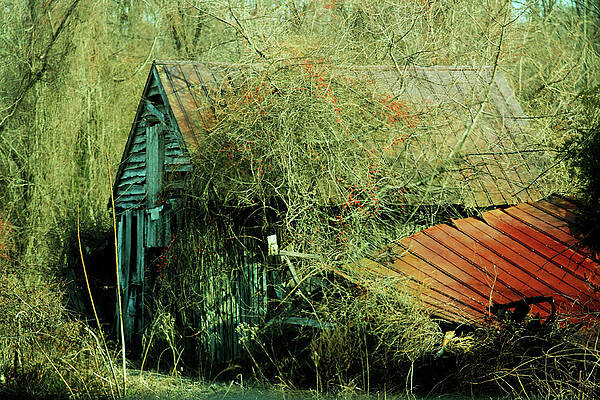 That Old Barn by Rebecca Sherman That Old Barn by Rebecca Sherman
