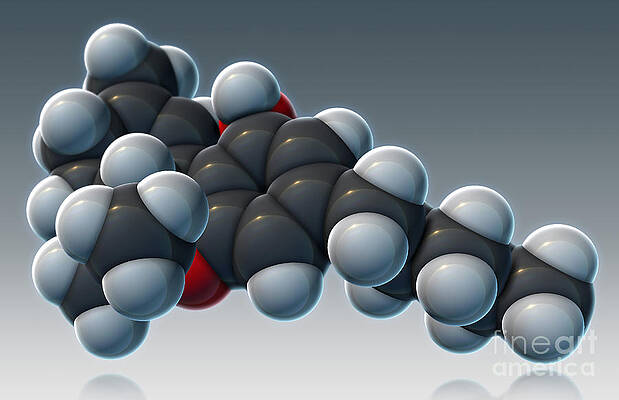 Wall Art - Photograph - Thc Molecular Model by Evan Oto