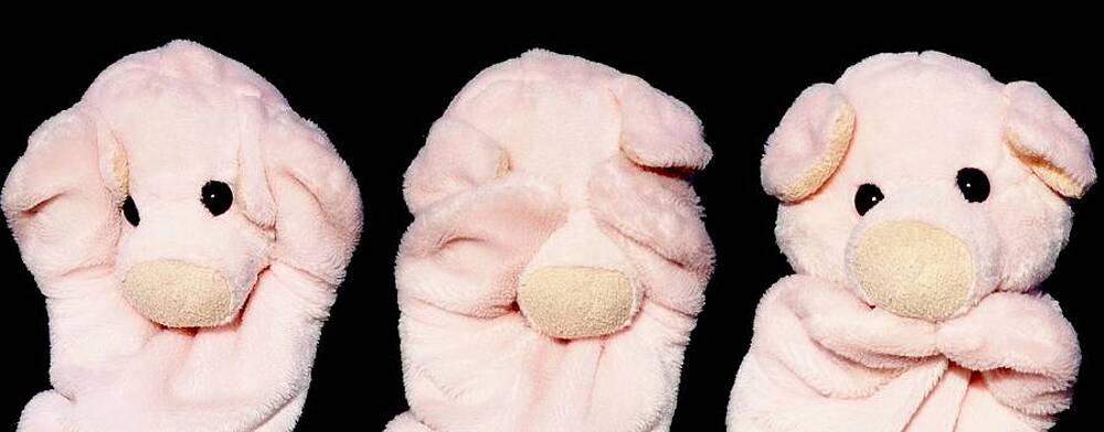 The 3 Wise Piggies by Piggy The 3 Wise Piggies by Piggy
