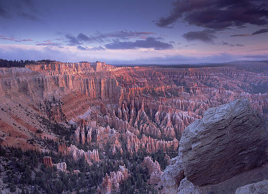 Wall Art - Photograph - The Amphitheater From Bryce Point by Tim Fitzharris