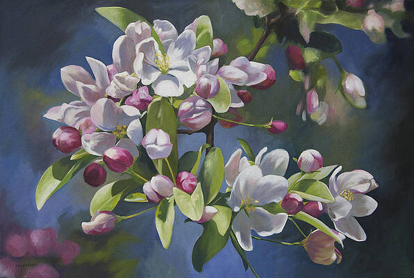 The Apple Tree by Alecia Underhill The Apple Tree by Alecia Underhill
