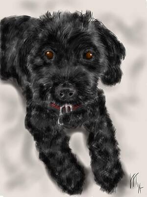 The Black Cockapoo Takes a Nap by Lois Ivancin Tavaf The Black Cockapoo Takes a Nap by Lois Ivancin Tavaf